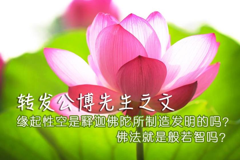 转发公博先生之文