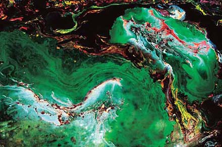 天堂寶物正飛旋