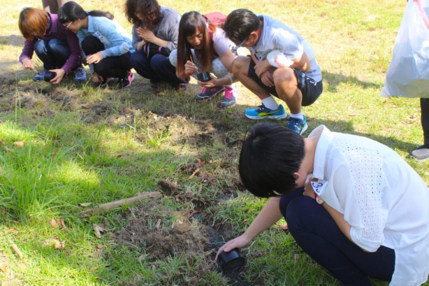 %e6%a1%83%e5%9c%92-%e5%a4%a7%e6%82%b2%e8%a7%80%e9%9f%b3%e5%8a%a0%e6%8c%81%e6%b3%95%e6%9c%83-%e7%85%a7%e7%89%8709