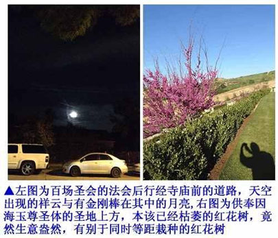 供奉因海玉尊的聖地上方,按季節應該已經枯乾的紅花樹,紅花開滿樹,生機盎然。極為殊勝-7