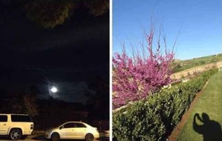 Record of Vajra Sharira Has 8