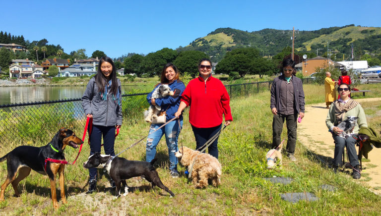 My Dog Becomes a Buddhist-3