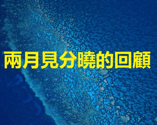兩月見分曉的回顧