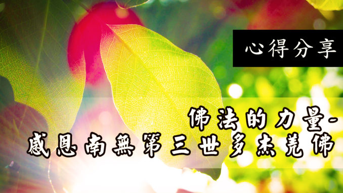 佛法的力量-感恩南無第三世多杰羌佛