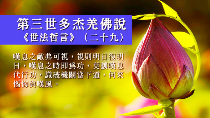 第三世多杰羌佛說《世法哲言》（二十九）