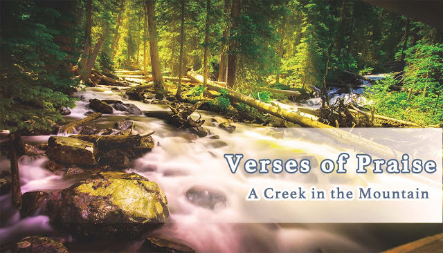 A Creek in the Mountain