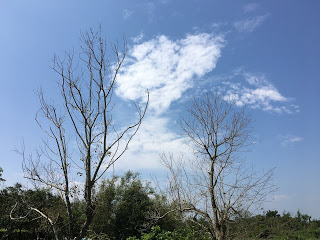 佛法偉大，真實不虛