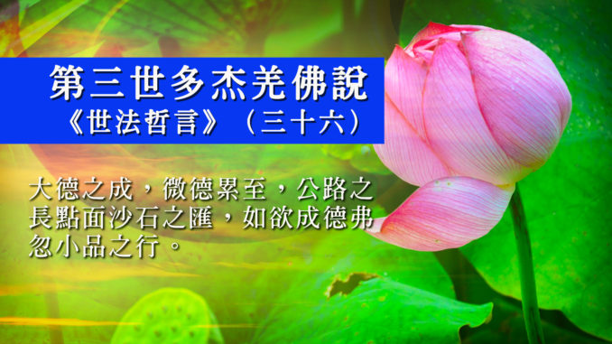 第三世多杰羌佛說《世法哲言》(三十六)