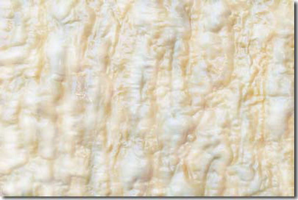 Gang-Gu-Jade-钢骨玉