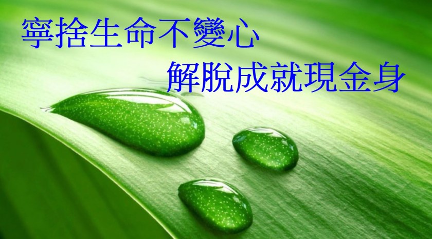 寧捨生命不變心解脫成就現金身