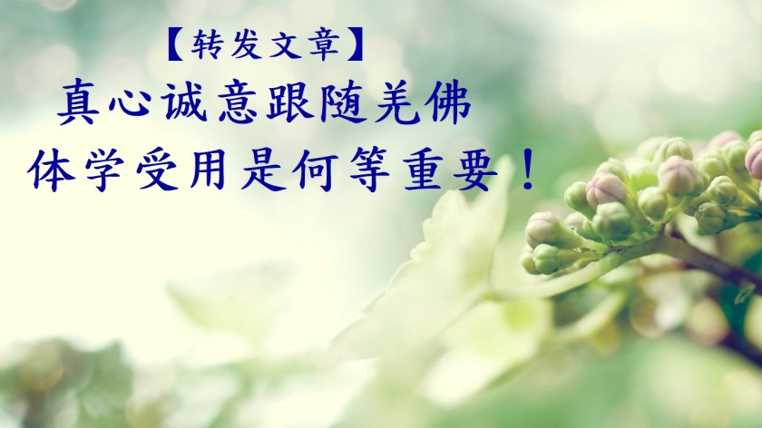 真心诚意跟随羌佛