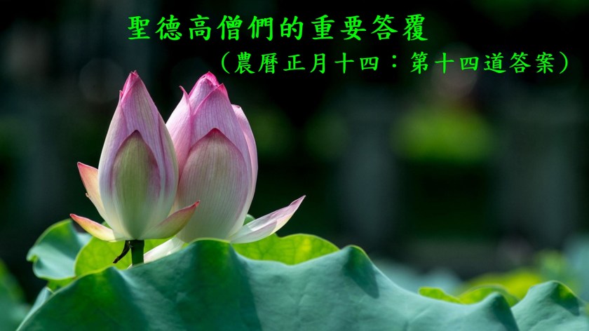 (農曆正月十四：第十四道答案)