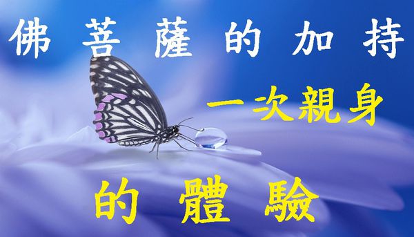 佛菩薩的加持 一次親身的體驗