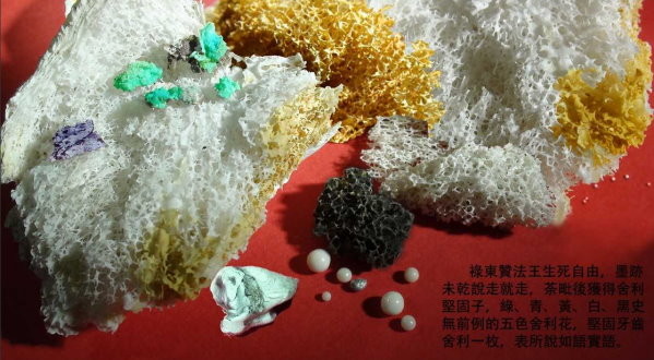 祿東贊法王火化後得到的稀有的「五色舍利花堅固子」。