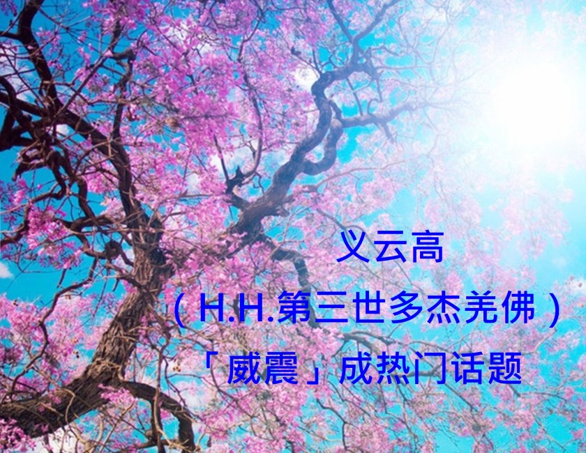 義雲高「威震」成熱門話題-1