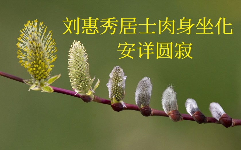 刘惠秀居士肉身坐化安详圆寂