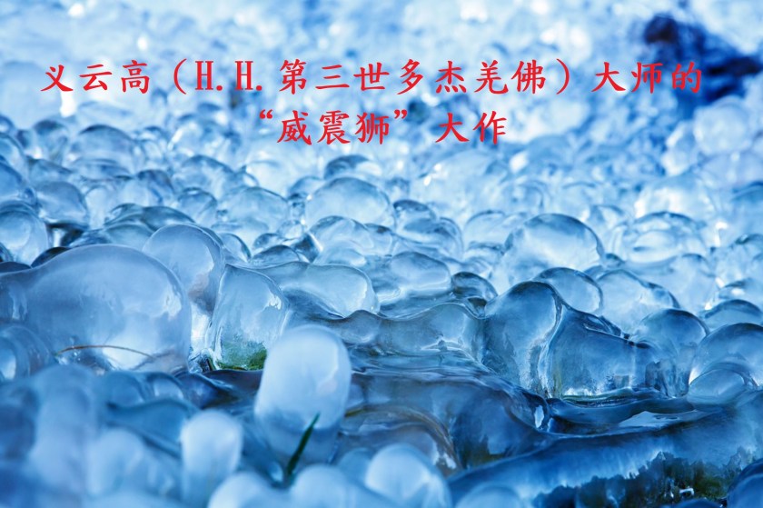 义云高大师的“威震狮”大作 -1