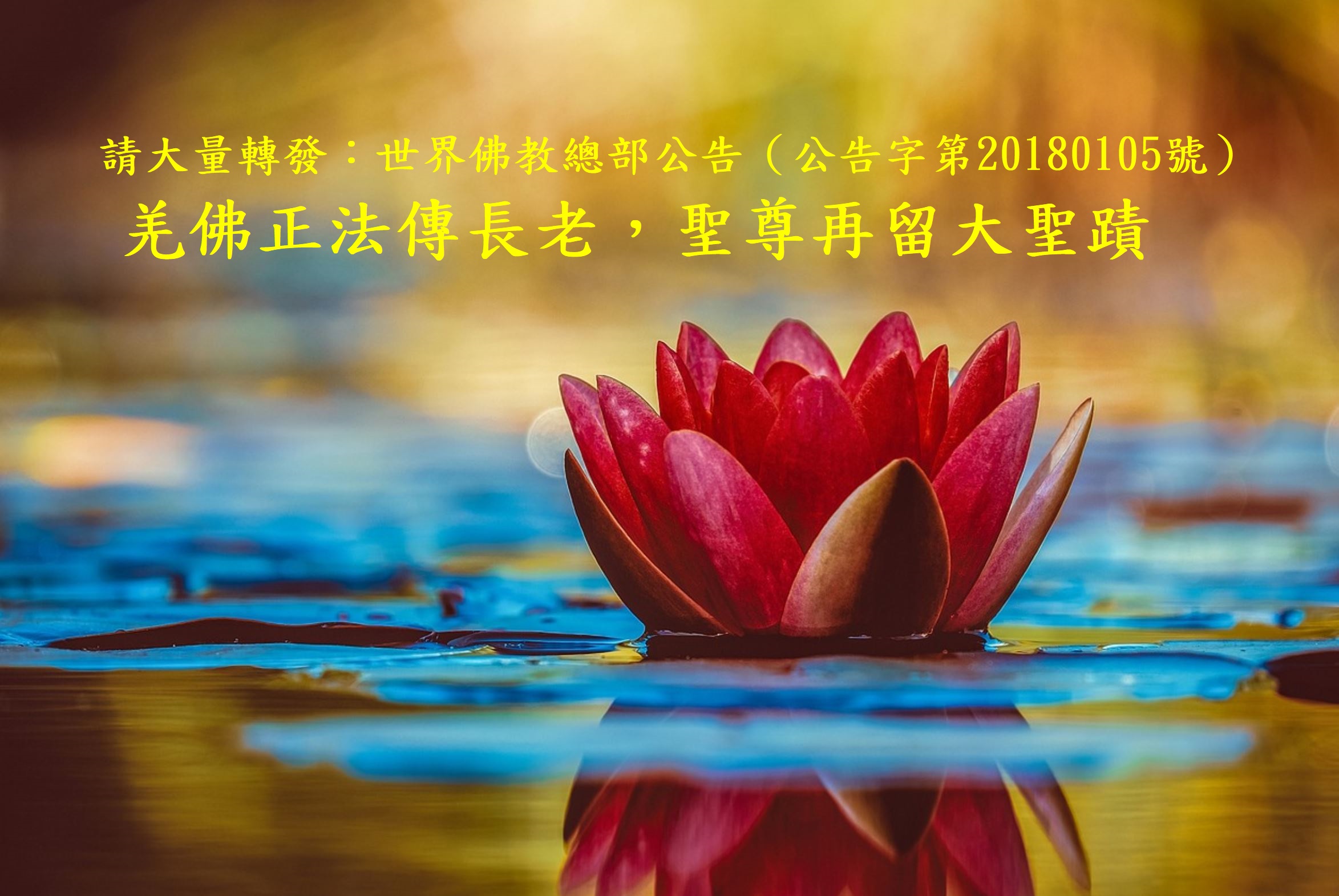 公告第20180105號-3