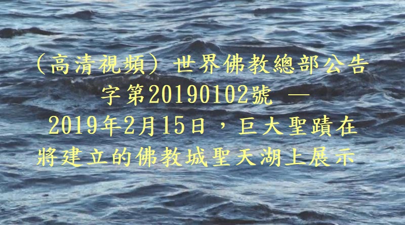 （公告字第20190102號）-2