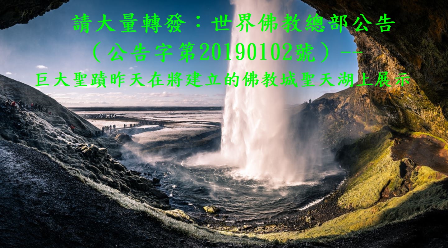 （公告字第20190102號）-4