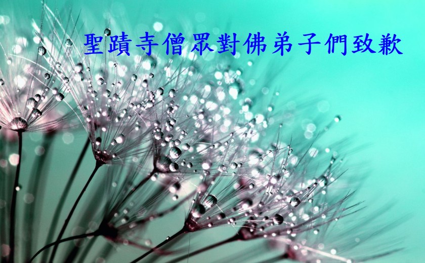 聖蹟寺僧眾對佛弟子們致歉