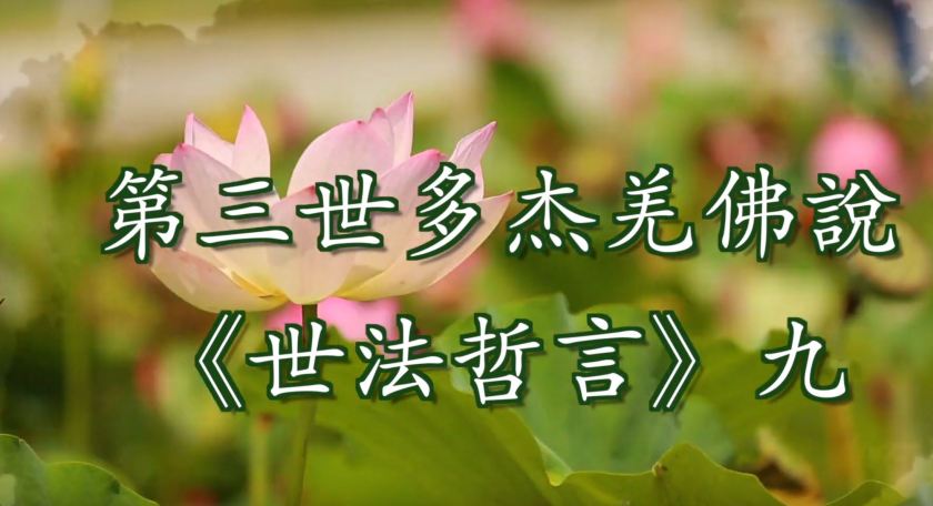 第三世多杰羌佛說 《世法哲言》九