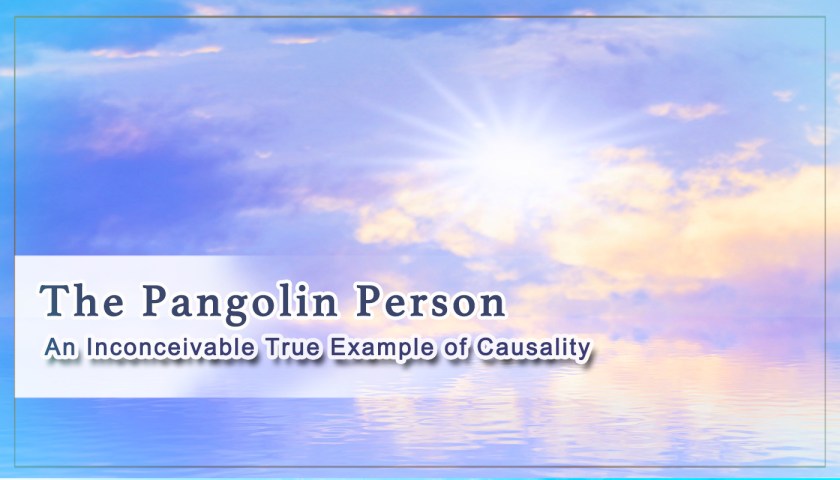 the-pangolin-person