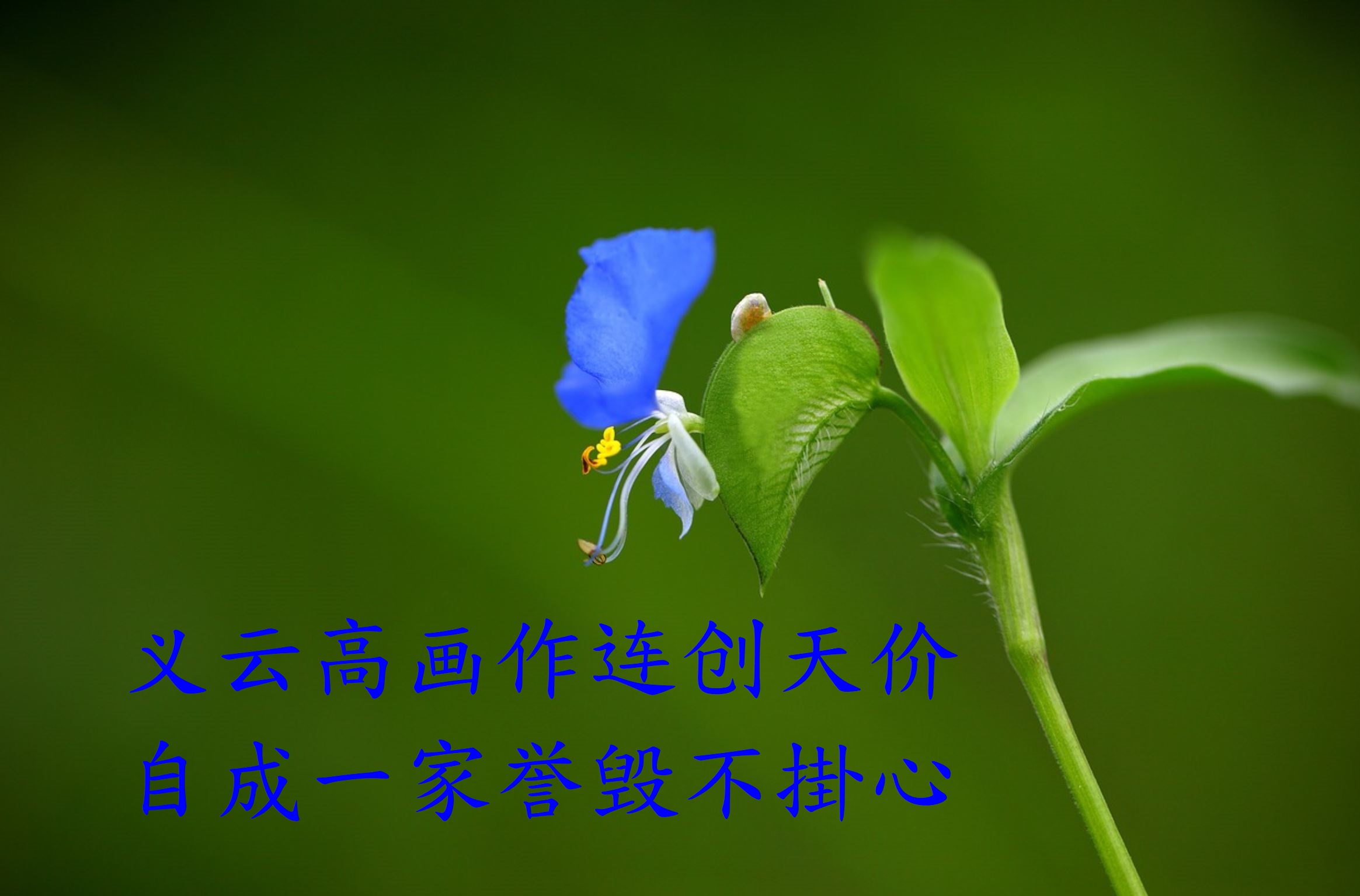 義雲高畫作連創天價 自成一家譽毀不掛心-1