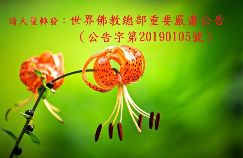 請大量轉發：世界佛教總部重要嚴肅公告（公告字第20190105號）