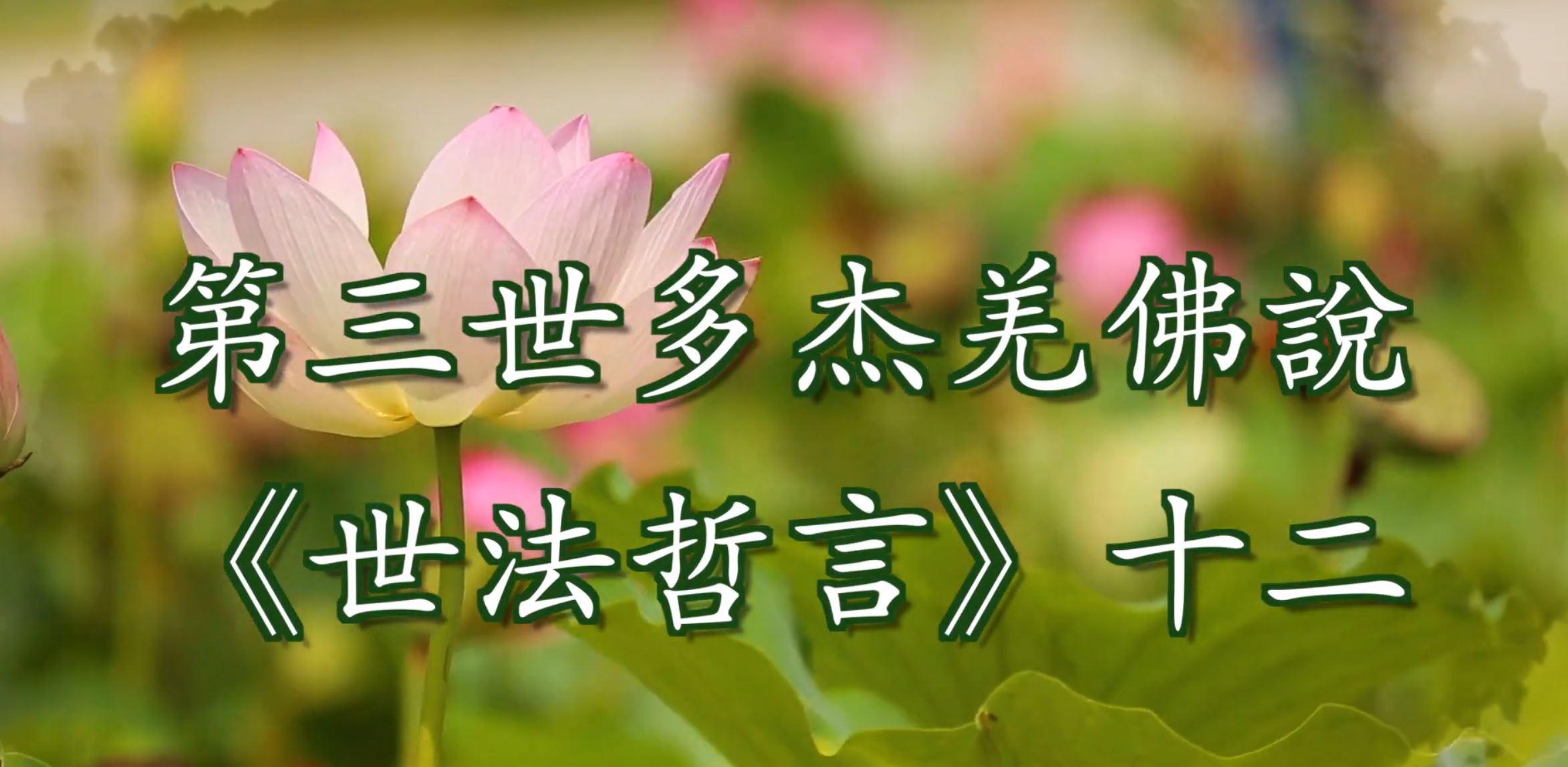 第三世多杰羌佛說 《世法哲言》（十二）