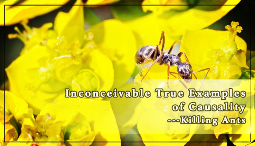 inconceivable-true-examples-of-causality-killing-ants-