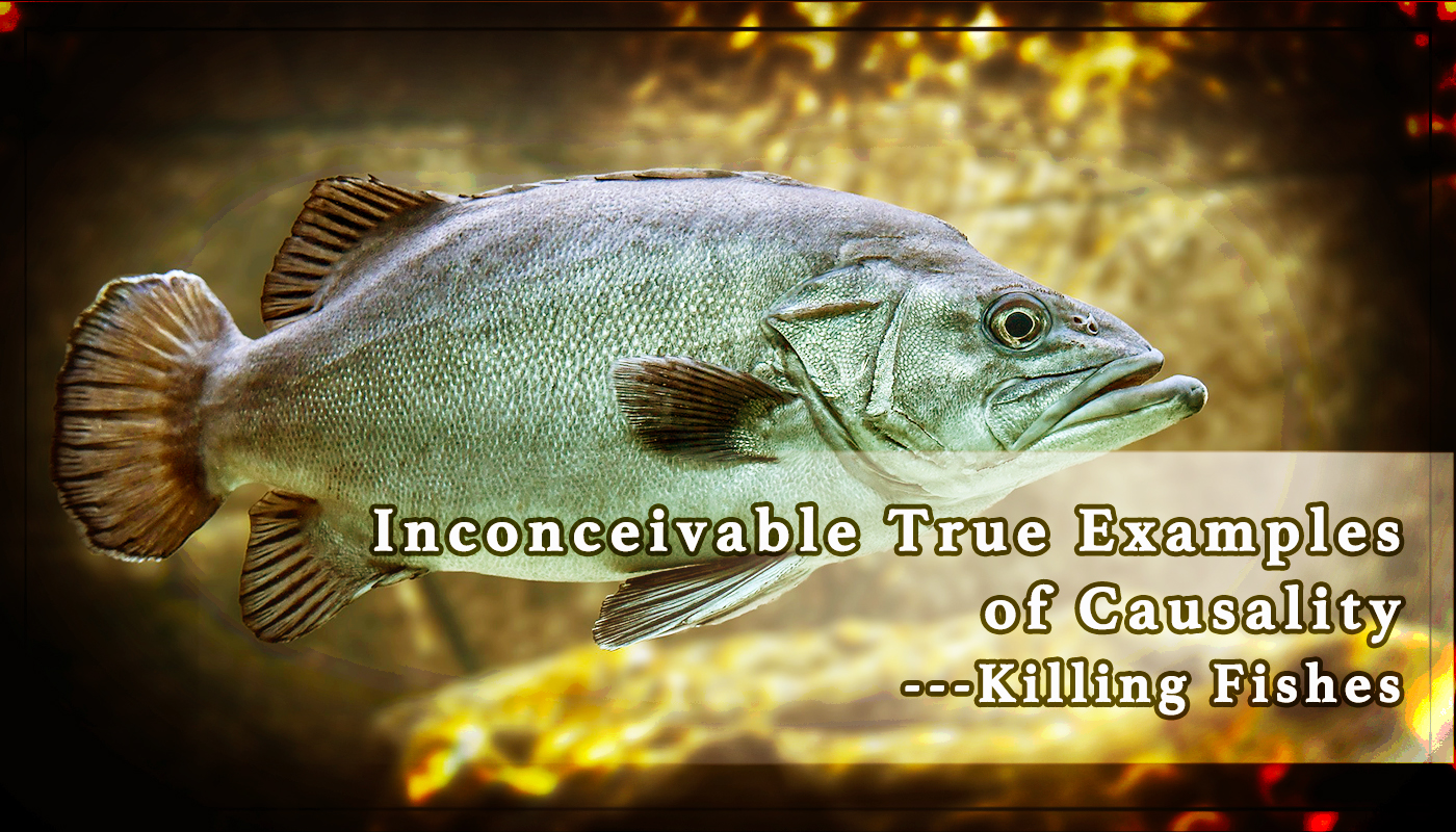 inconceivable-true-examples-of-causality-killing-fishes