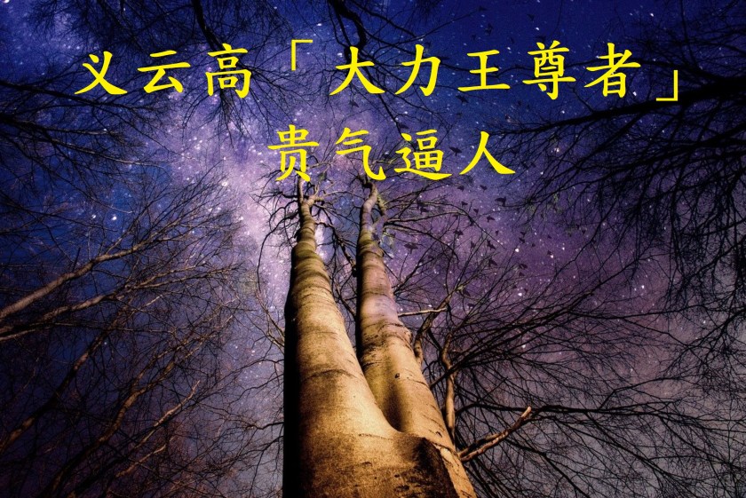 义云高（H.H. 第三世多杰羌佛）「大力王尊者」贵气逼人