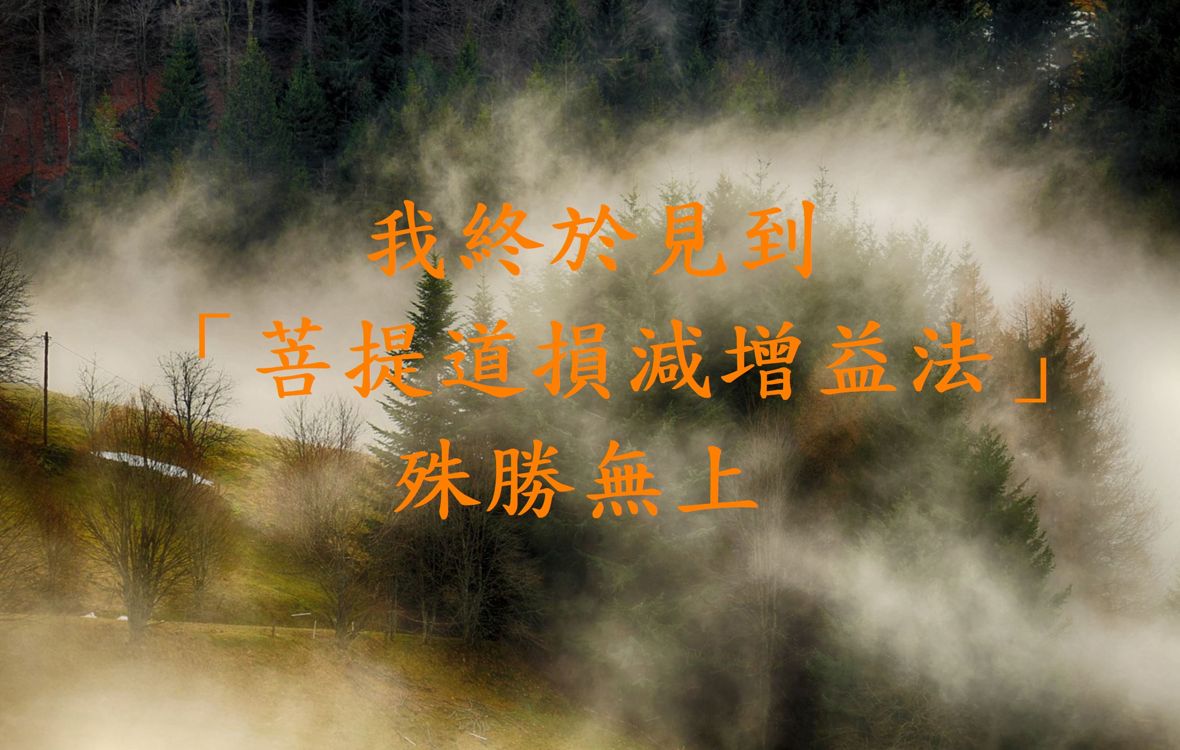 菩提道損減增益法