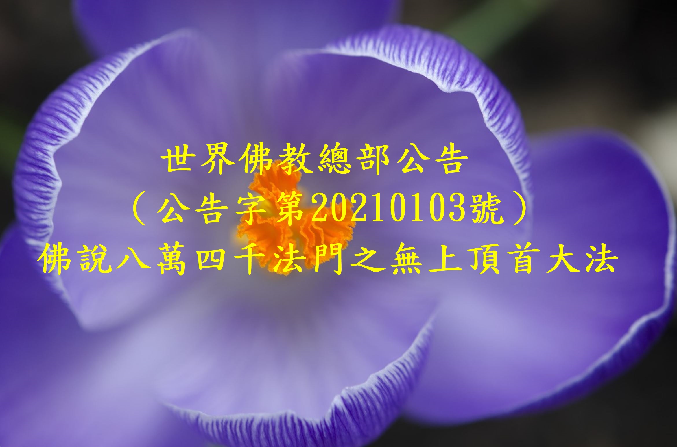 佛說八萬四千法門之無上頂首大法